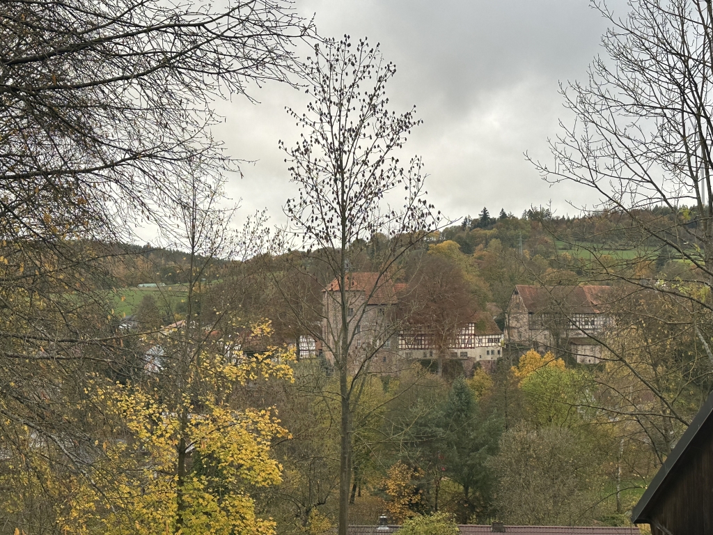 Buchenau_2023 (67).JPG